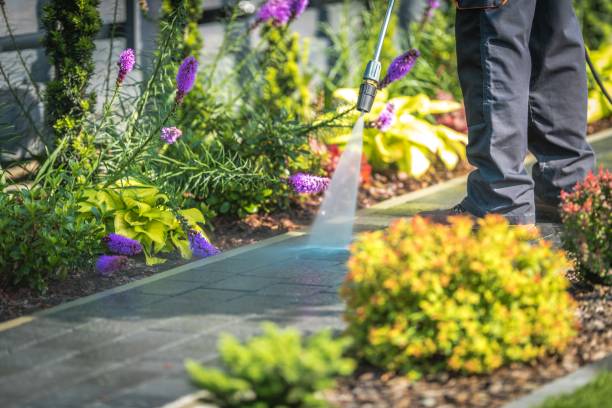 Reliable Baileyton, AL Pressure Washing Services Solutions